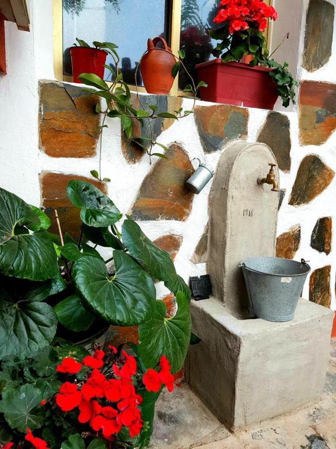 Vivienda Vacacional Ca Na Paula La Orotava Zewnętrze zdjęcie