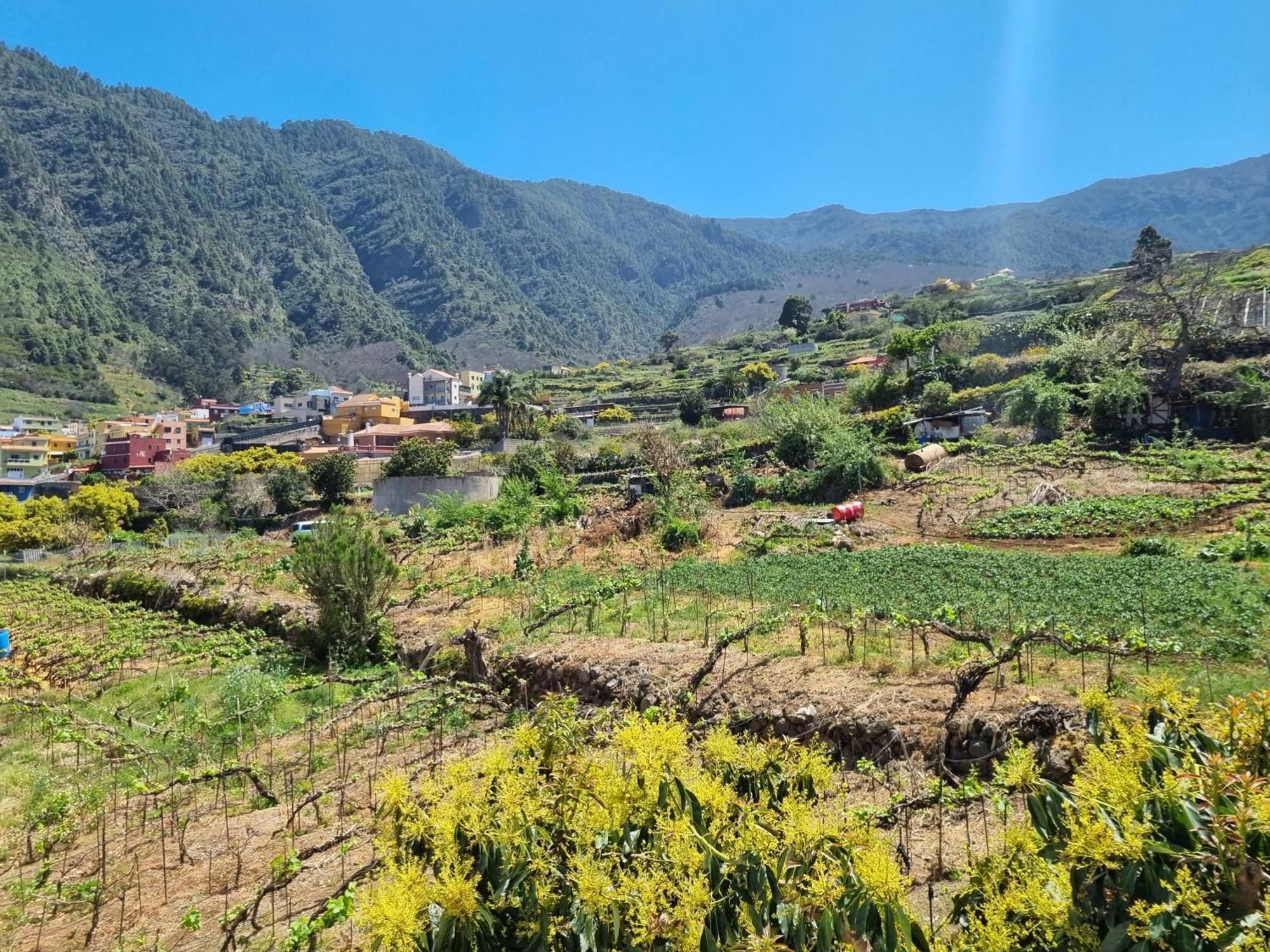 Vivienda Vacacional Ca Na Paula La Orotava Zewnętrze zdjęcie